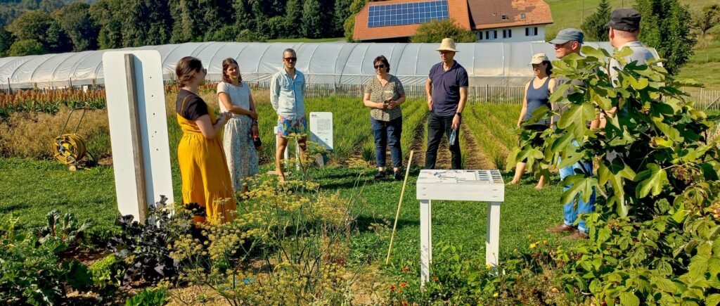 Acht Personen stehen zwischen den Ackerkulturen des Weltackers in Attiswil. Eine Person spricht, die anderen hören zu.