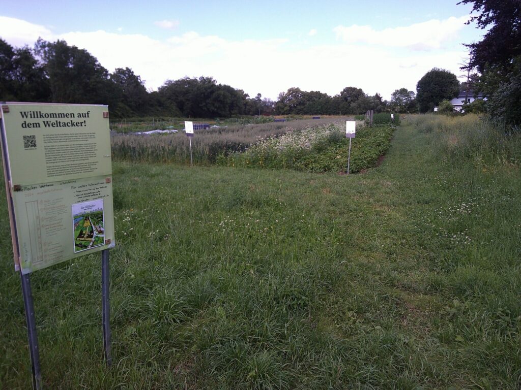 Behind a sign with the inscription "Welcome to the Globa Field!" the crops are planted on labeled fields. 