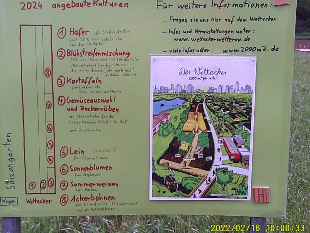 Der Ackerplan zeigt, wo auf dem Acker Hafer, Blühstreifenmischung, Kartoffeln, Gemüseauswahl, Lein, Sonnenblumen, Sommerweizen und Ackerbohnen wachsen.