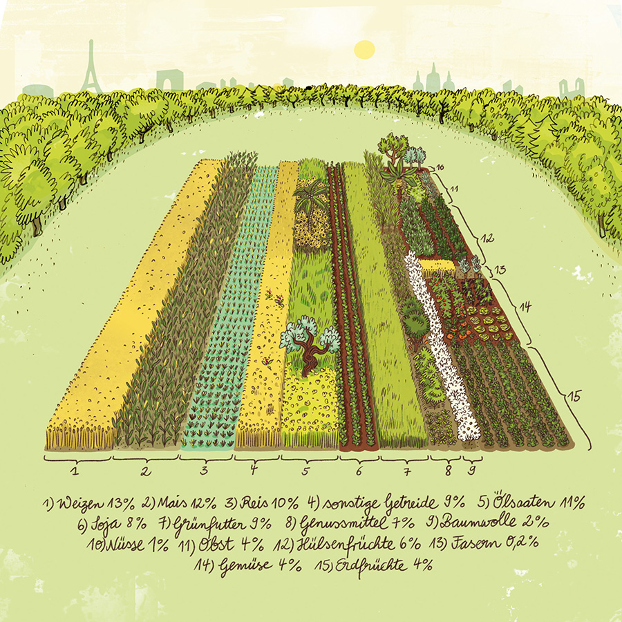 Plotted representation of the area ratios on the world's arable land: wheat 13%, maize 12%, rice 10%, other cereals 9%, oilseeds 11%, soy 8%, green fodder 7%, cotton 2%, nuts 1%, fruit 4%, pulses 6%, fibers 0.2%, vegetables 4% and soil crops 4%.