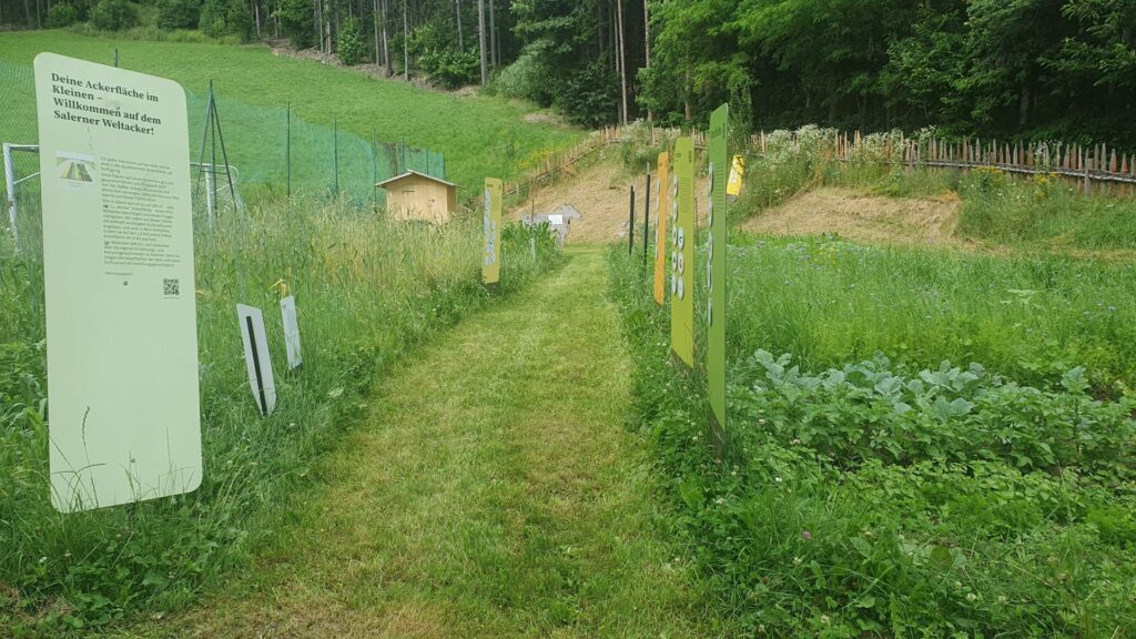 Category signs are placed on both sides of the path through the Weltacker. 