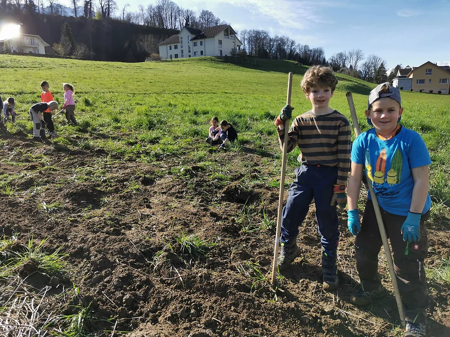 Eine Gruppe von Erstklässer*innen sind mit Ackerwerkzeug auf dem Weltacker aktiv und säen Lupinen