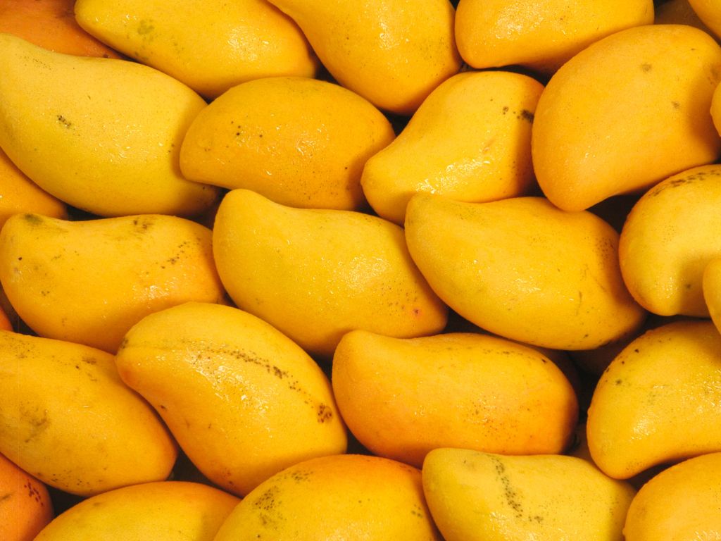 Auf dem Foto sind zahlreiche gelb-orangene Mangos abgebildet. Sie haben eine längliche Form.