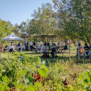 Auf einer Veranstaltung auf dem WeltTellerFeld in Wien sitzen zahlreiche Menschen an Tischen.