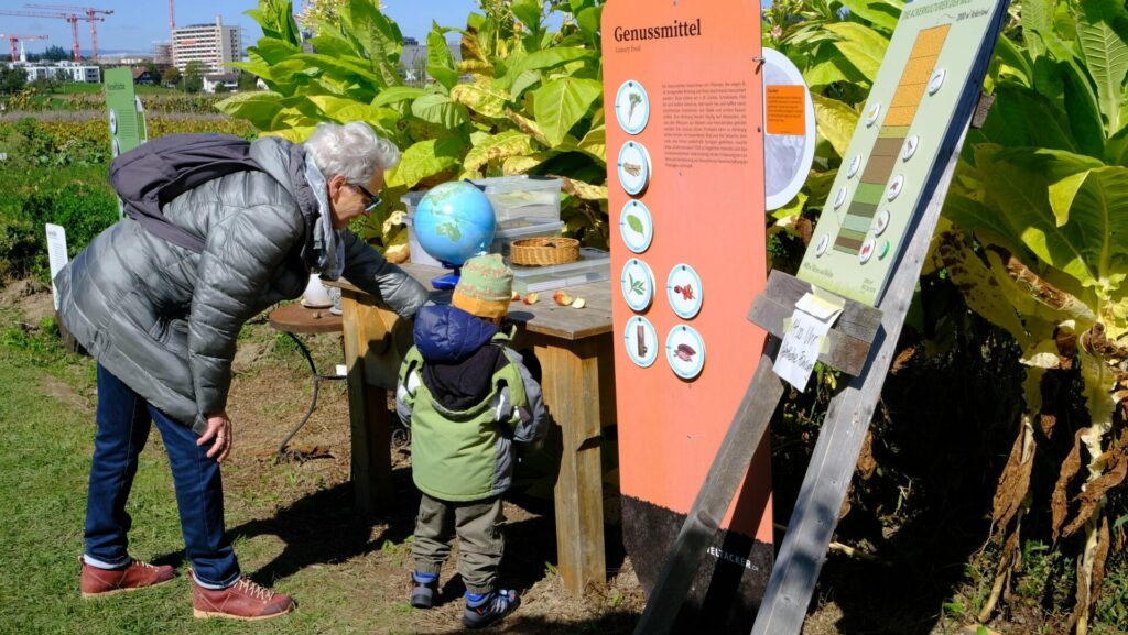 A small child and an elderly lady stand together in front of a table with a globe and look into various drawers.