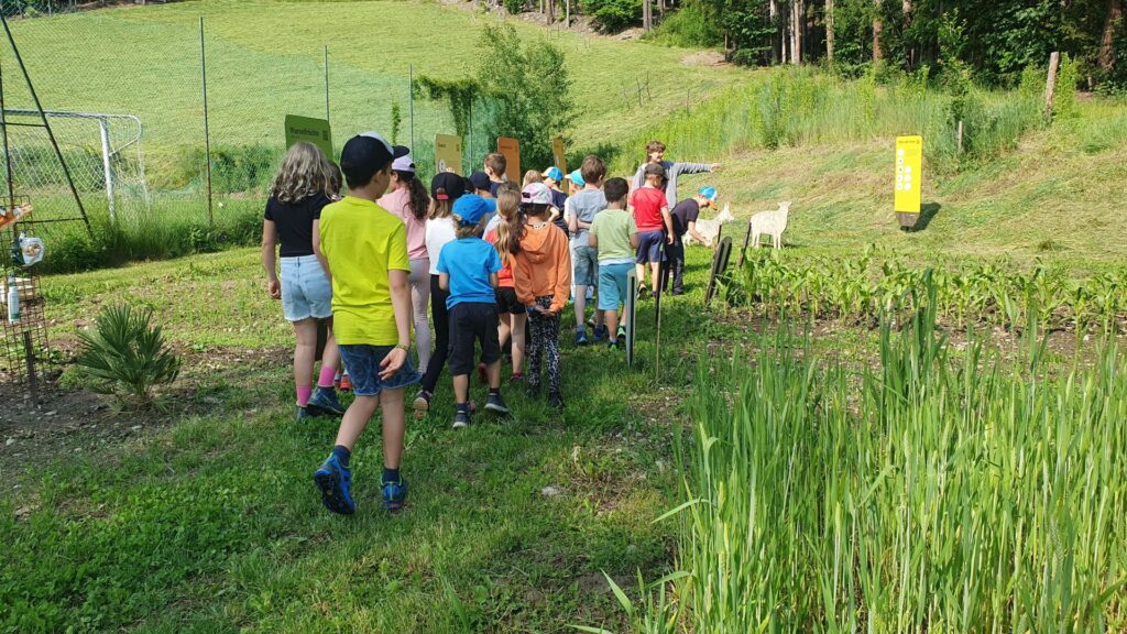 Eine Gruppe von Grundschulkindern hört gespannt bei der Ackertour zu. 