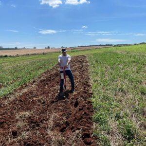 A man is working on the field and preparing the soil for sowing.