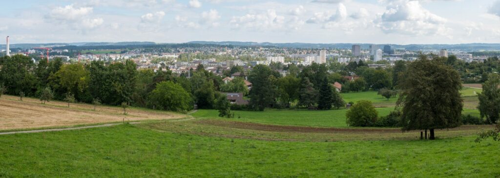 View over the city of Zurich