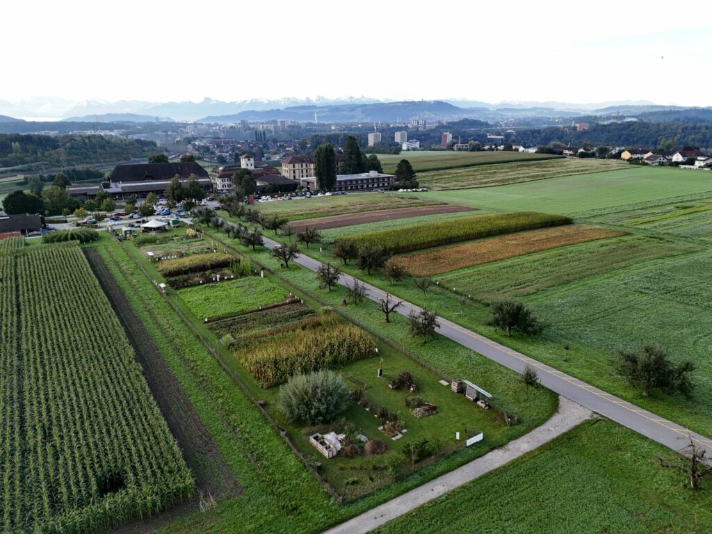 Aus der Luft ist der Weltacker zu sehen. Im Hintergrund liegt die Stadt Bern und dahinter lassen sich die Schweizer Alpen erblicken.