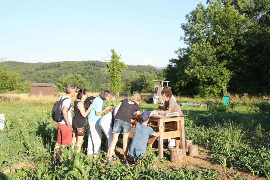 Eine Gruppe betrachtet an der Installation Saatguttisch etwas, das ihnen der Ackerguide zeigt.