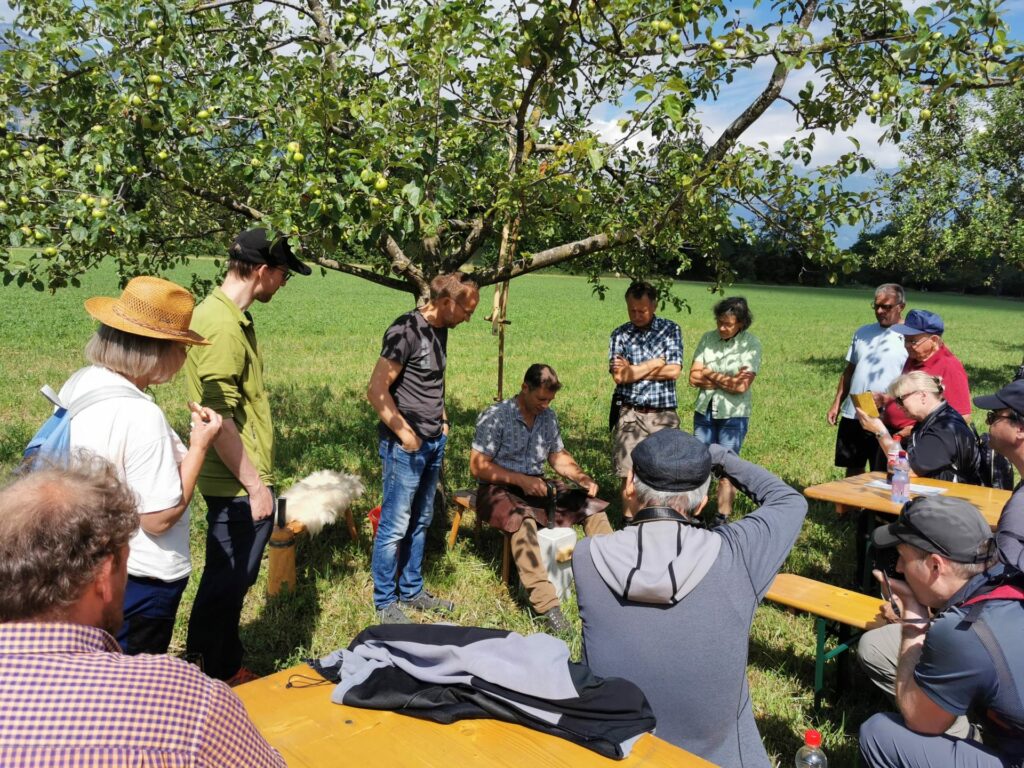 A group of adults listens intently to the explanations on how to use a scythe. 