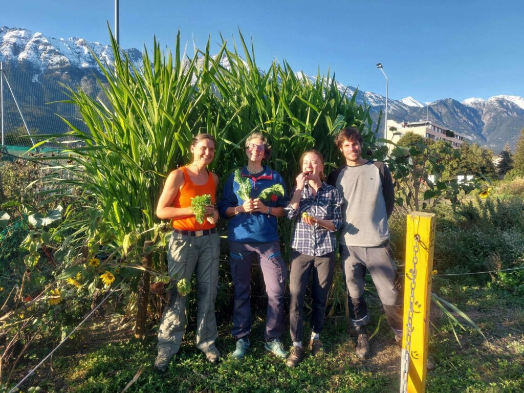 The four permanent team members of the Weltacker in Innsbruck stand in front of the maize field with harvested vegetables.  