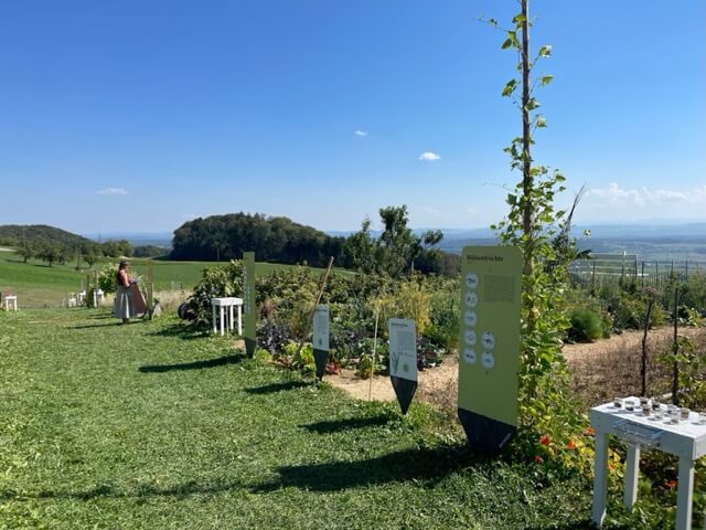 Vor dem idyllischen Ausblick über die Schwizer Landschaft liegt der Weltacker in Attiswil. Eine Frau betrachtet die Schilder-Ausstellung.