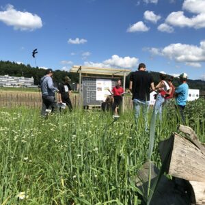 Im Vordergrund sind blühende Gräser und Holzscheite, dahinter steht eine Gruppe vor einer Tafel, auf der ein Weltacker-Kreuzworträtsel zu lösen ist.