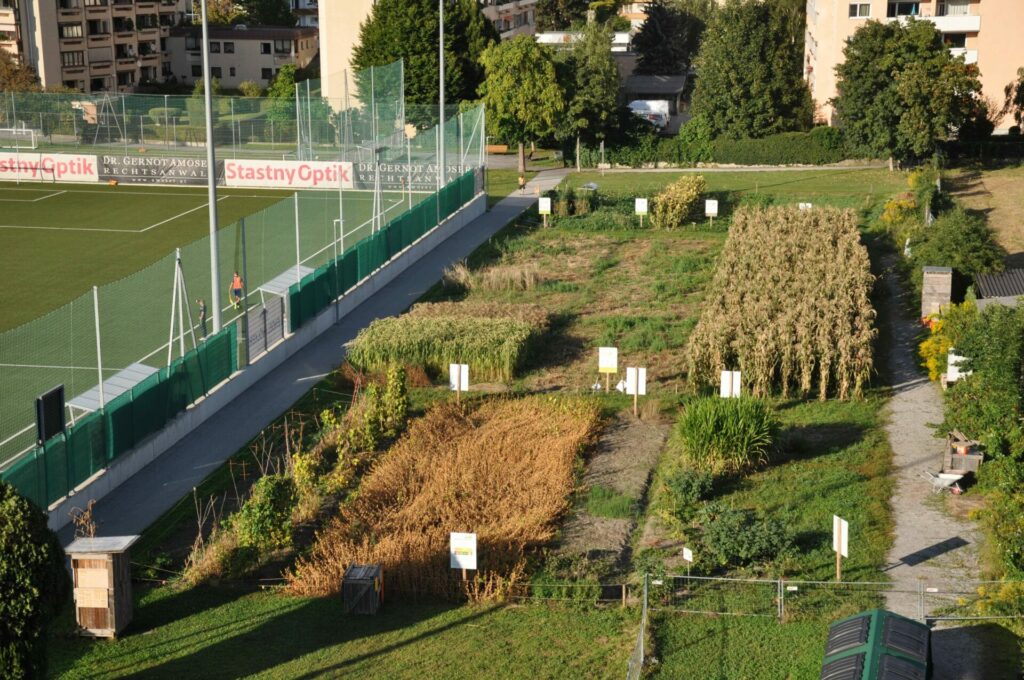 Der Weltacker in Innsbruck liegt neben einem Sportplatz im Wohnviertel - Blick auf den Weltacker aus der Luft. 