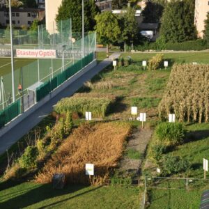 Luftbild vom Weltacker in Innsbruck, der neben einem Sportplatz liegt. Im Hintergrund sind mehrstöckige Wohnhäuser sichtbar.