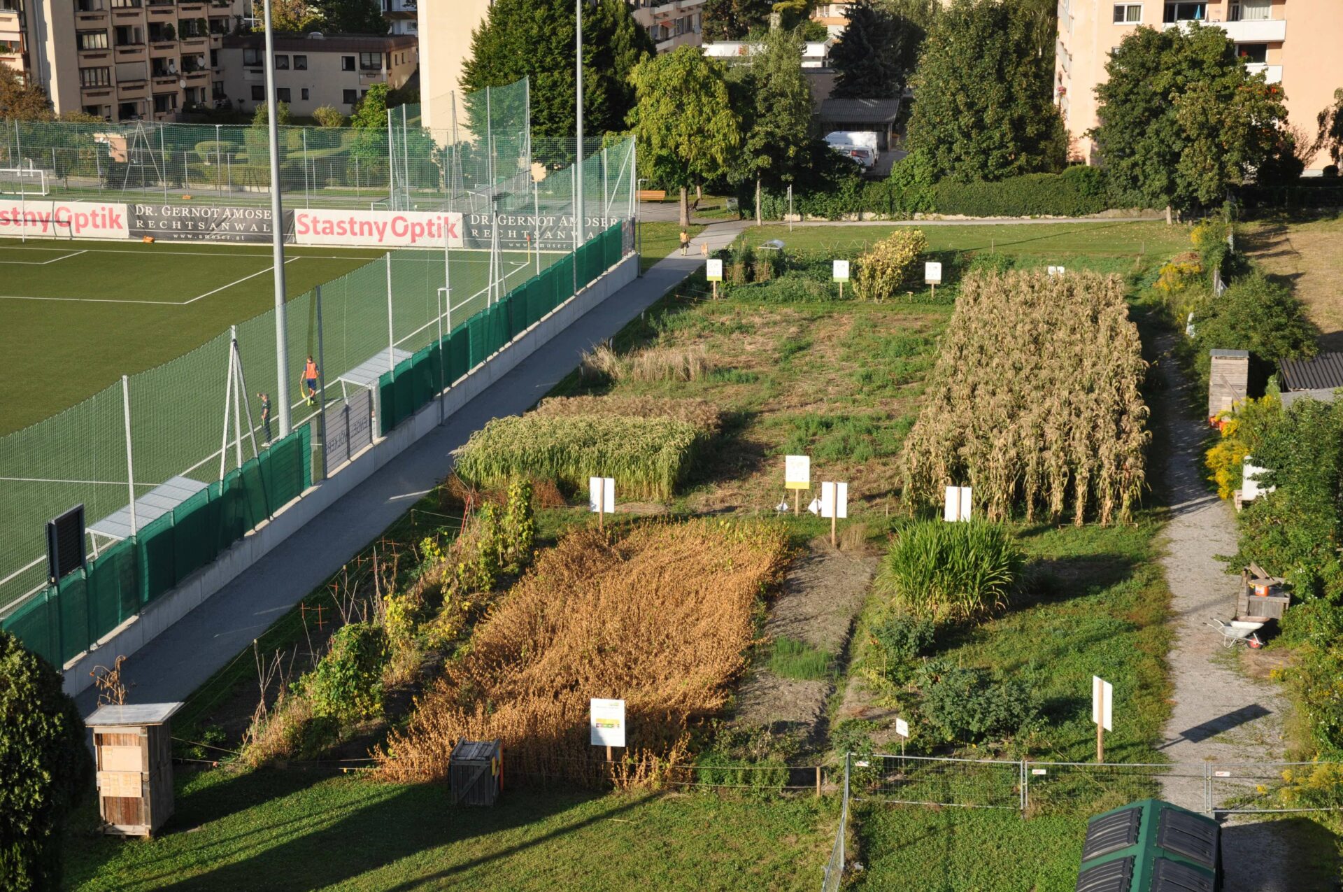 Luftbild vom Weltacker in Innsbruck, der neben einem Sportplatz liegt. Im Hintergrund sind mehrstöckige Wohnhäuser sichtbar.