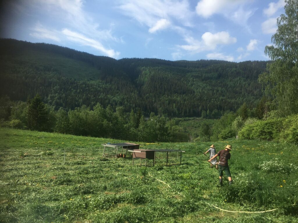 Dag und Karoline sensen auf einer großen Wiese. Im HIntergund ist ein Wald zu sehen.