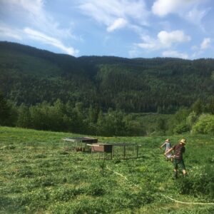 Dag und Karoline sensen auf einer großen Wiese. Im HIntergund ist ein Wald zu sehen.