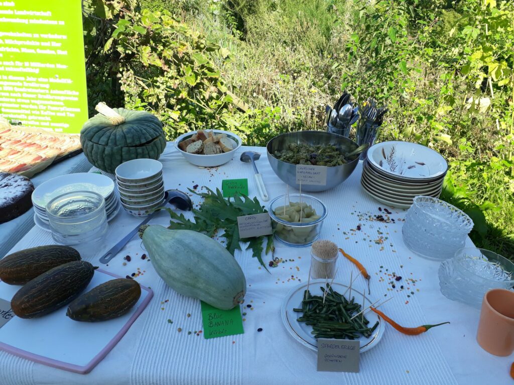 A full buffet table with old vegetables: Blue Banana, Ligurian potato salad, Green Hokkaido, Cardy and other vegetables.  