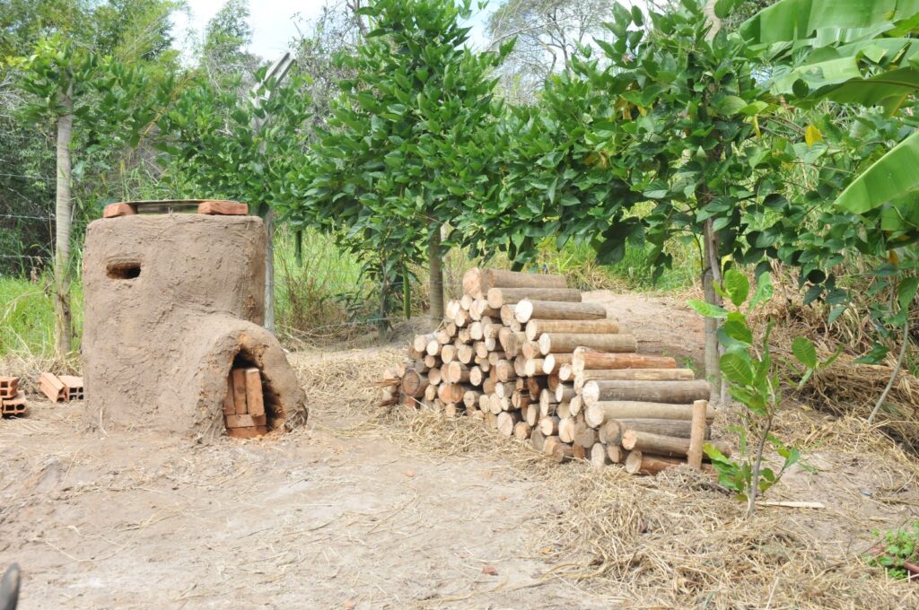 There is a clay oven and tree trunks in the garden of the Brazilian project. The small square is surrounded by palm trees and small trees.  