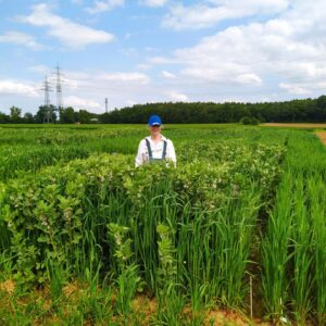 Sabine, die Leiterin des Weltackers in Nürtingen, steht inmitten des experimentellen Mischfeldes von Hafer und Leguminosen.