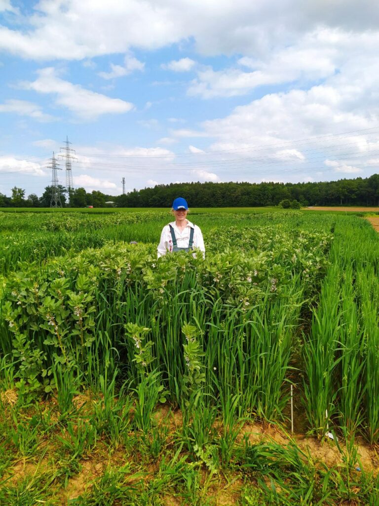 Sabine, die Leiterin des Weltackers in Nürtingen, steht inmitten des experimentellen Mischfeldes von Hafer und Leguminosen. 